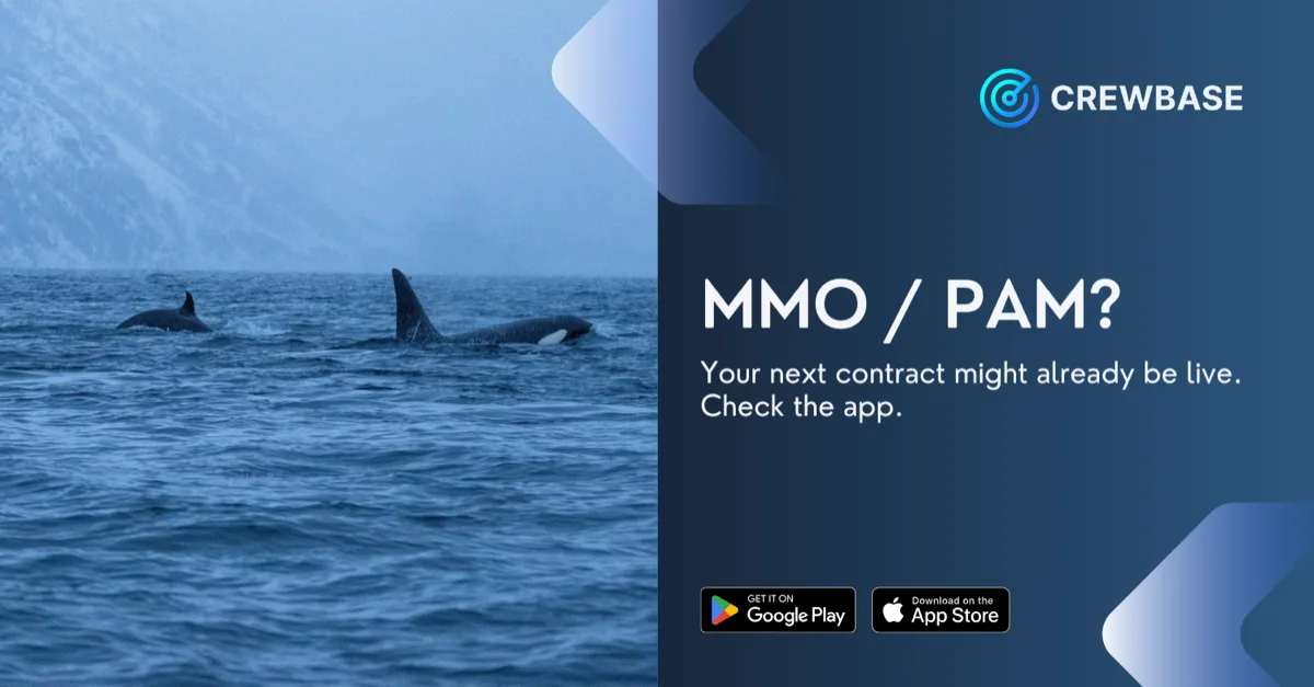 Orcas in ocean with CrewBase MMO and PAM marine mammal observer recruitment message